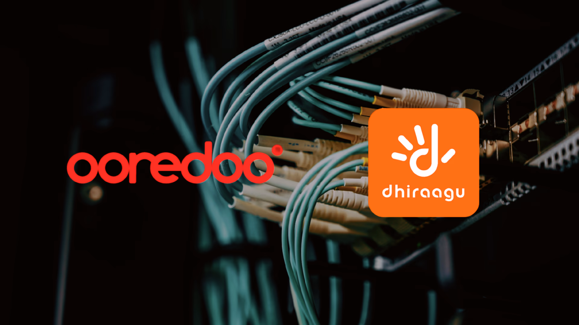 Dhiraagu and Ooredoo logos with fiber cables in the background, representing internet provider network connections and data tracking. - Image by Badhalu