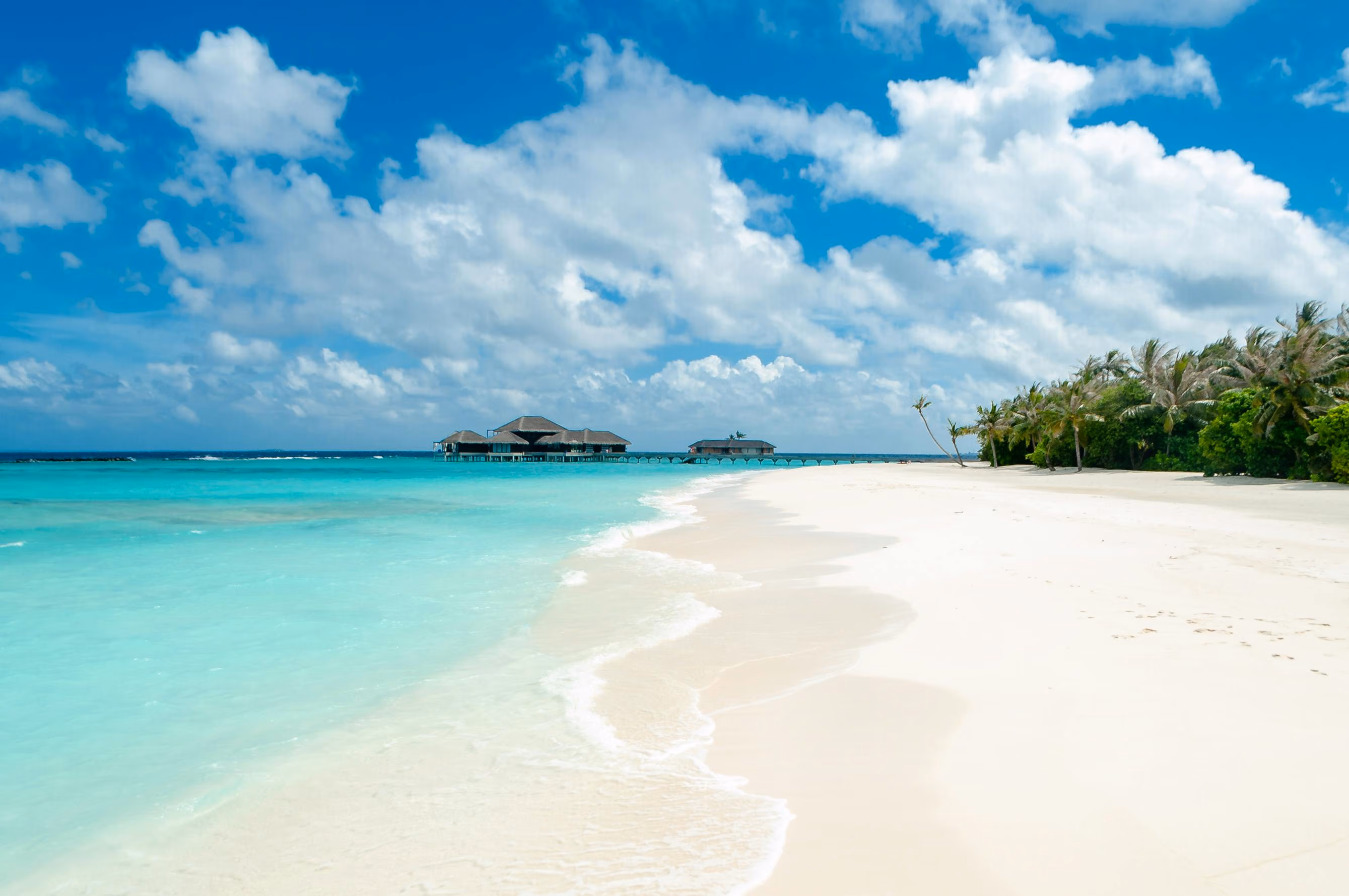 Stunning tropical beach with turquoise water and palm trees under a bright blue sky - Image by  Asad Photo Maldives from Pexels